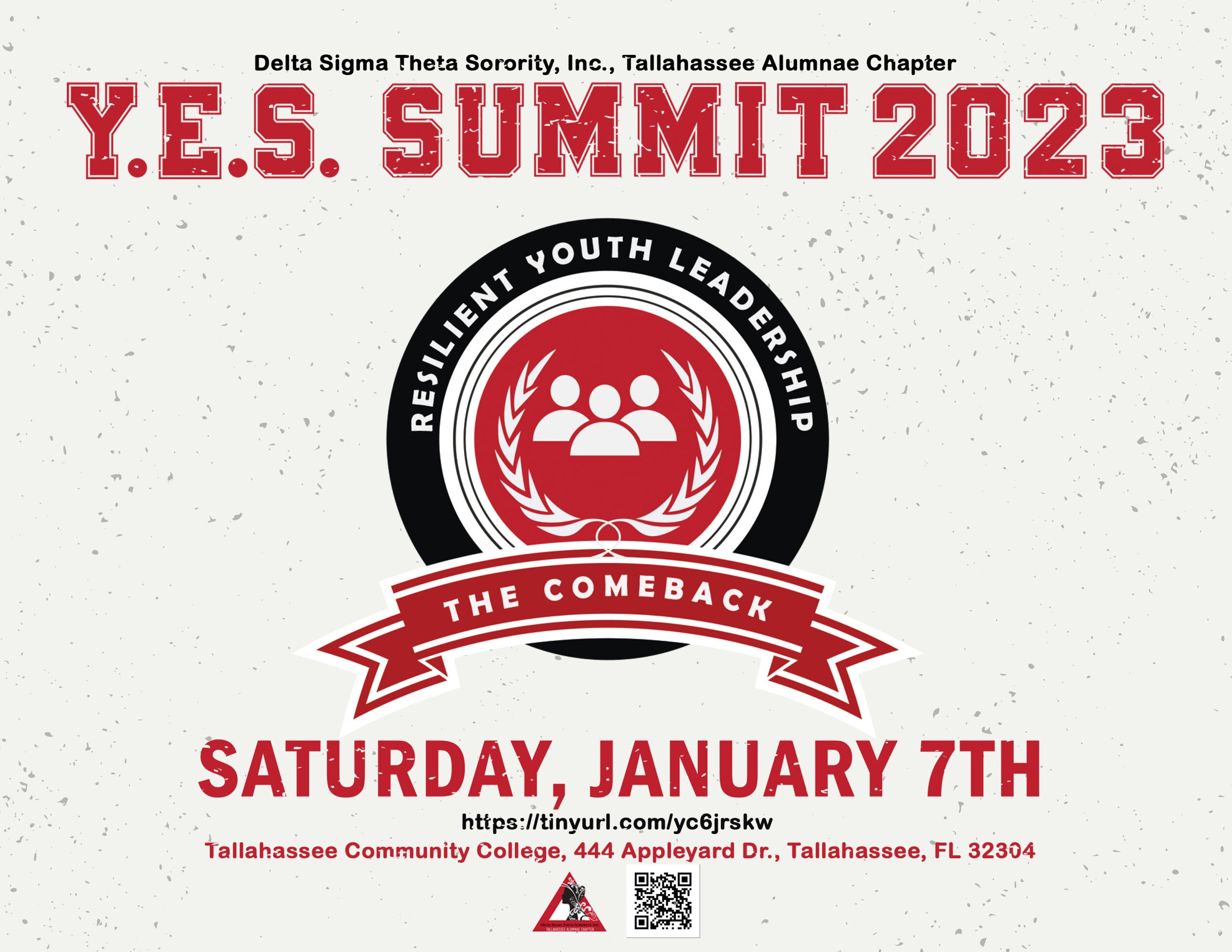YES summit flyer